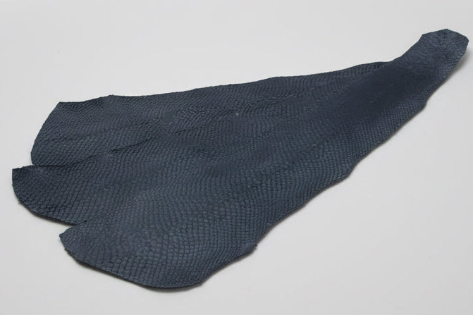 salmon skins on clear background